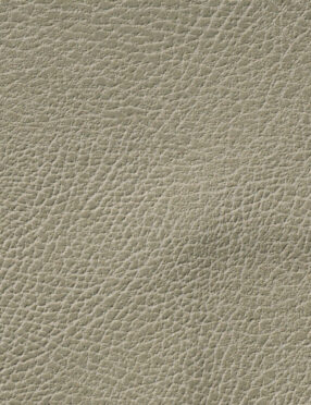 Weathered Leather